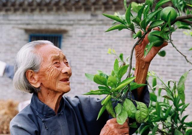 長壽的人有哪些特點(diǎn)？年紀(jì)大了如何養(yǎng)生？